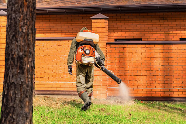 Trusted Rodent Control service in Boyertown, PA - Nex Pest Control